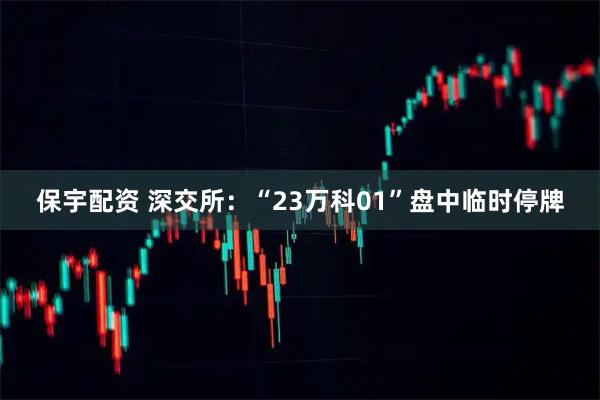 保宇配资 深交所：“23万科01”盘中临时停牌
