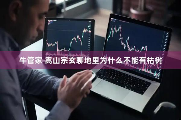牛管家 嵩山宗玄聊地里为什么不能有枯树